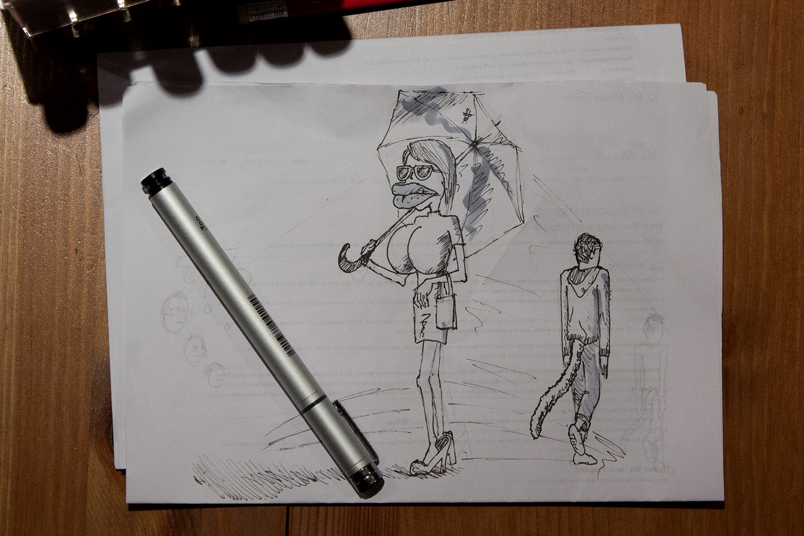 Sketch of strange things we saw.