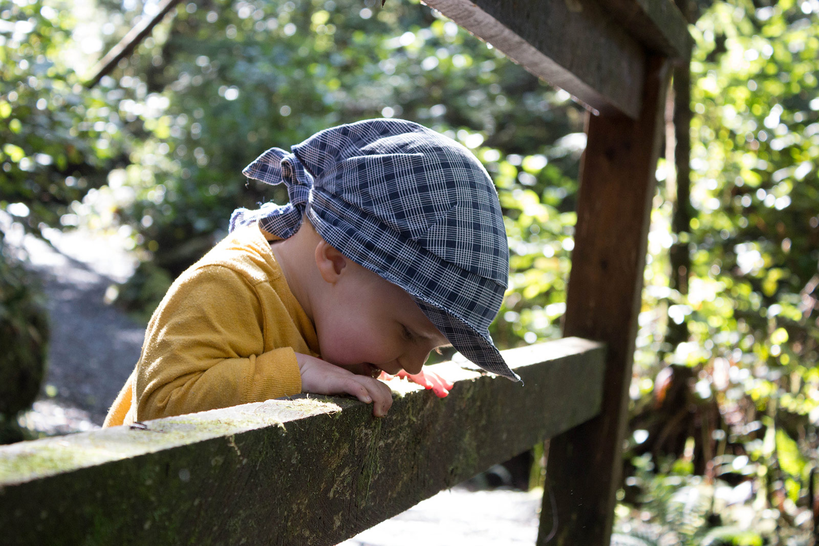Albert throwing stones