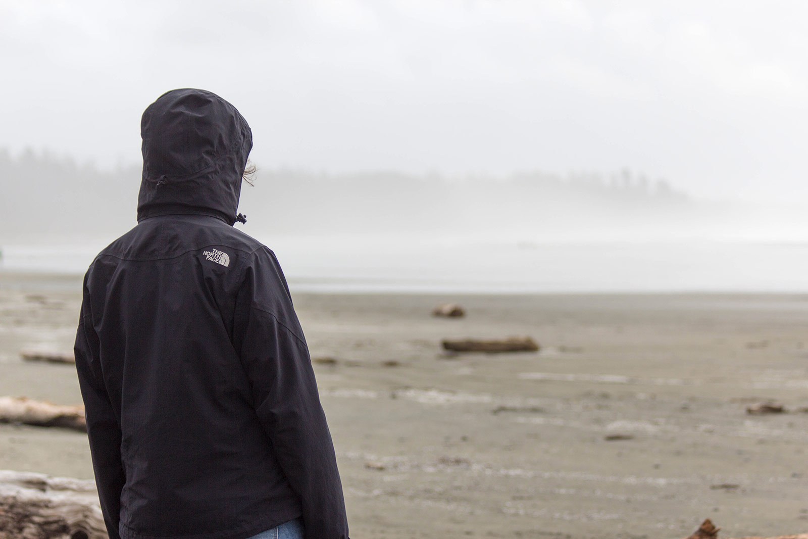 Gaga looking out over the sea