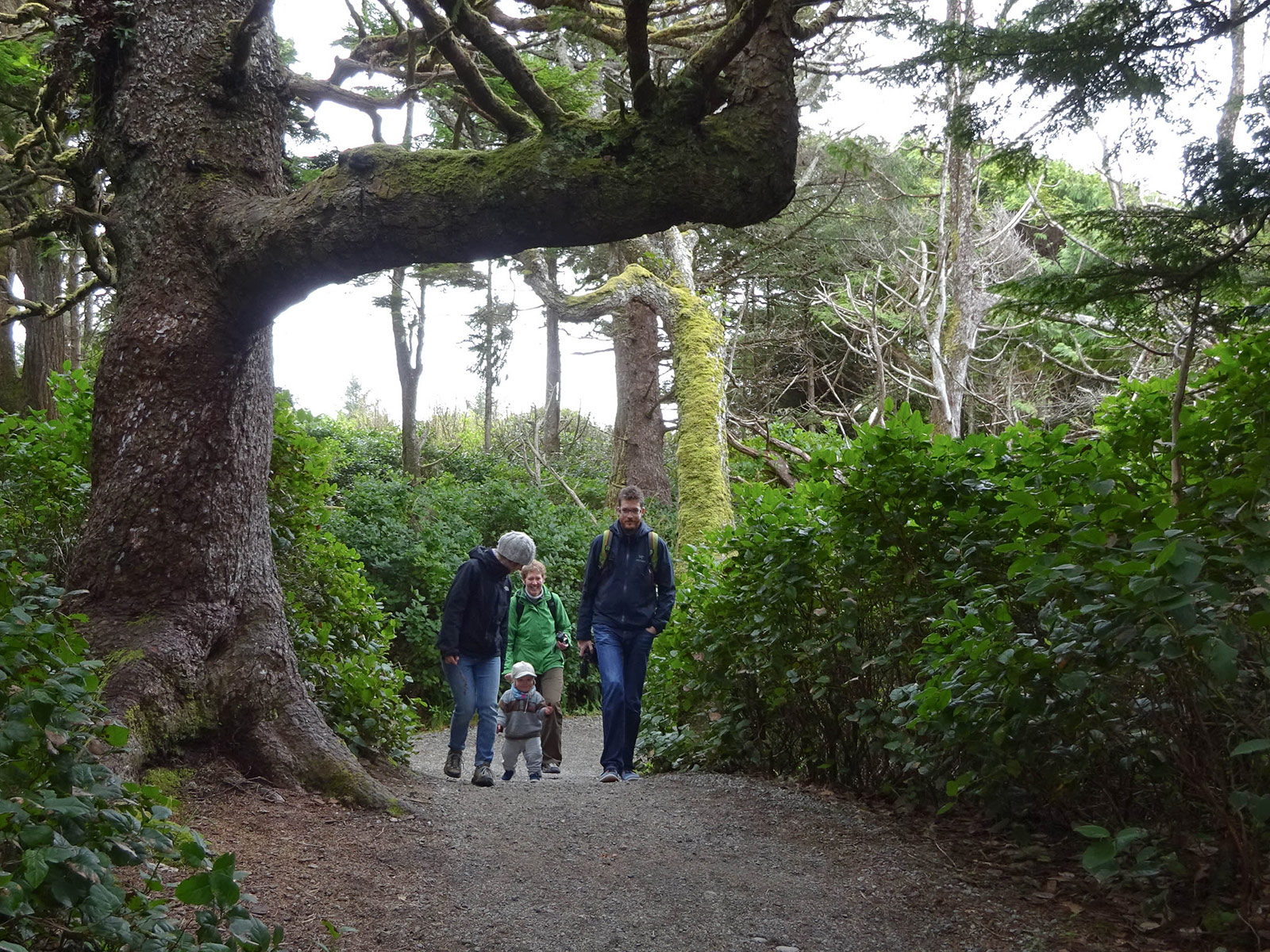 On the light house trail