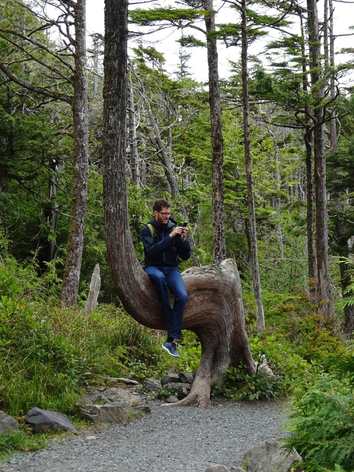 Julian on a weirdly shaped tree
