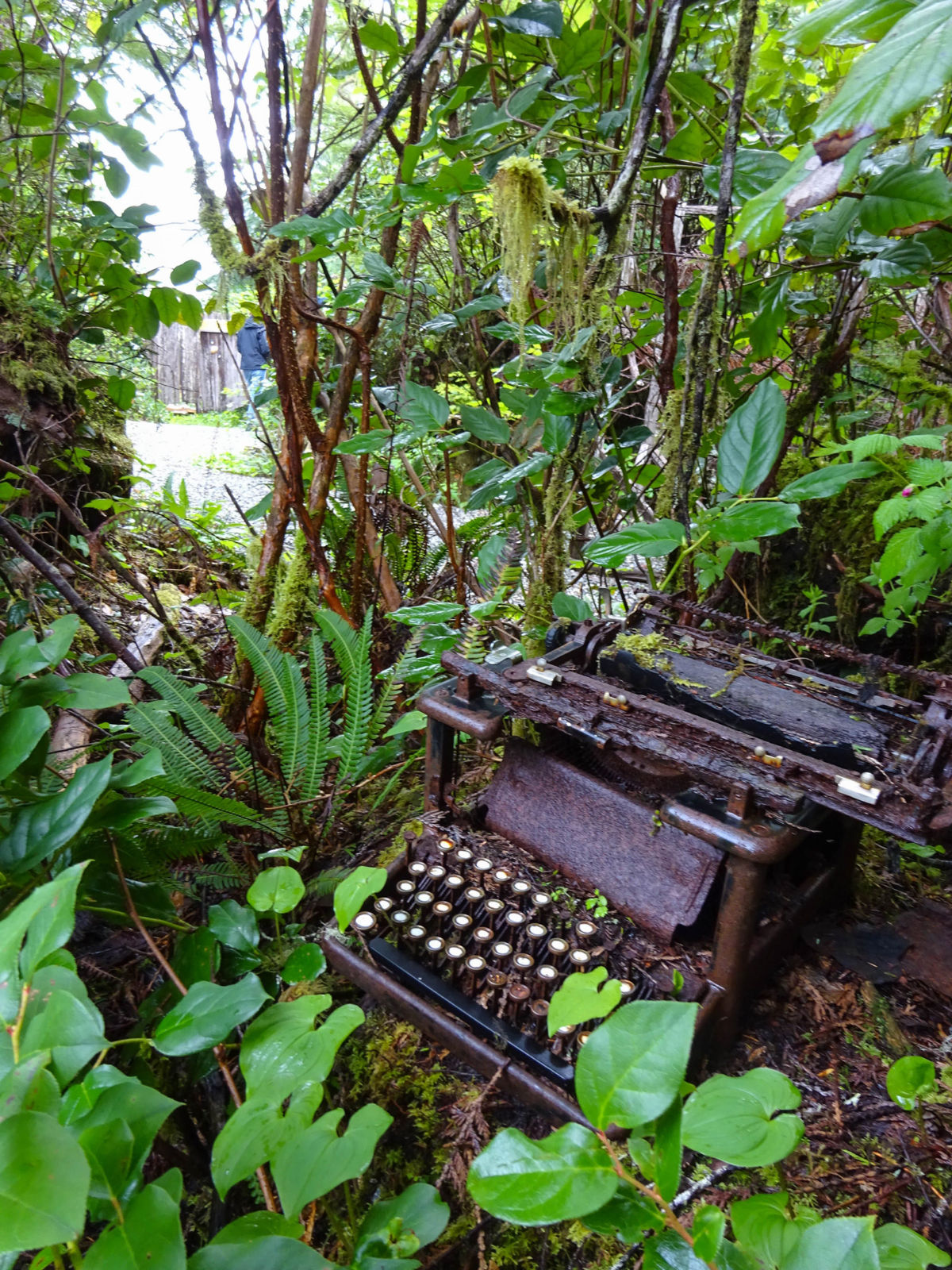 Yes, that is a type writer in a bush. Because, why not?