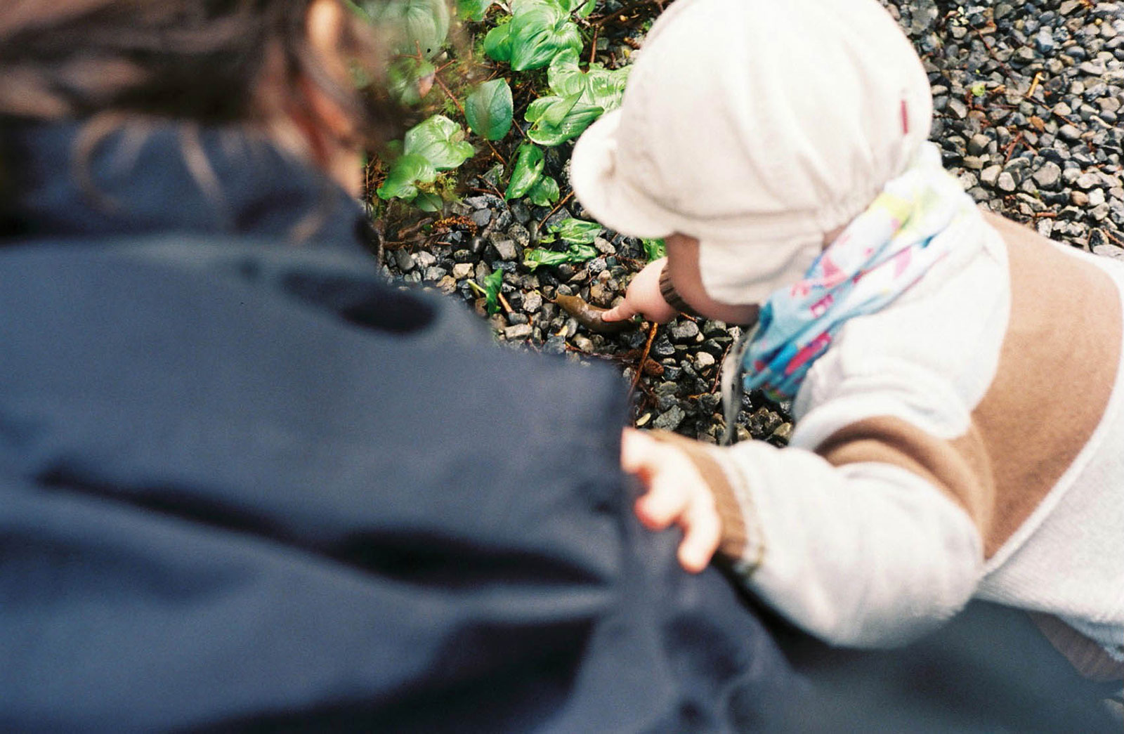 Albert and the snail