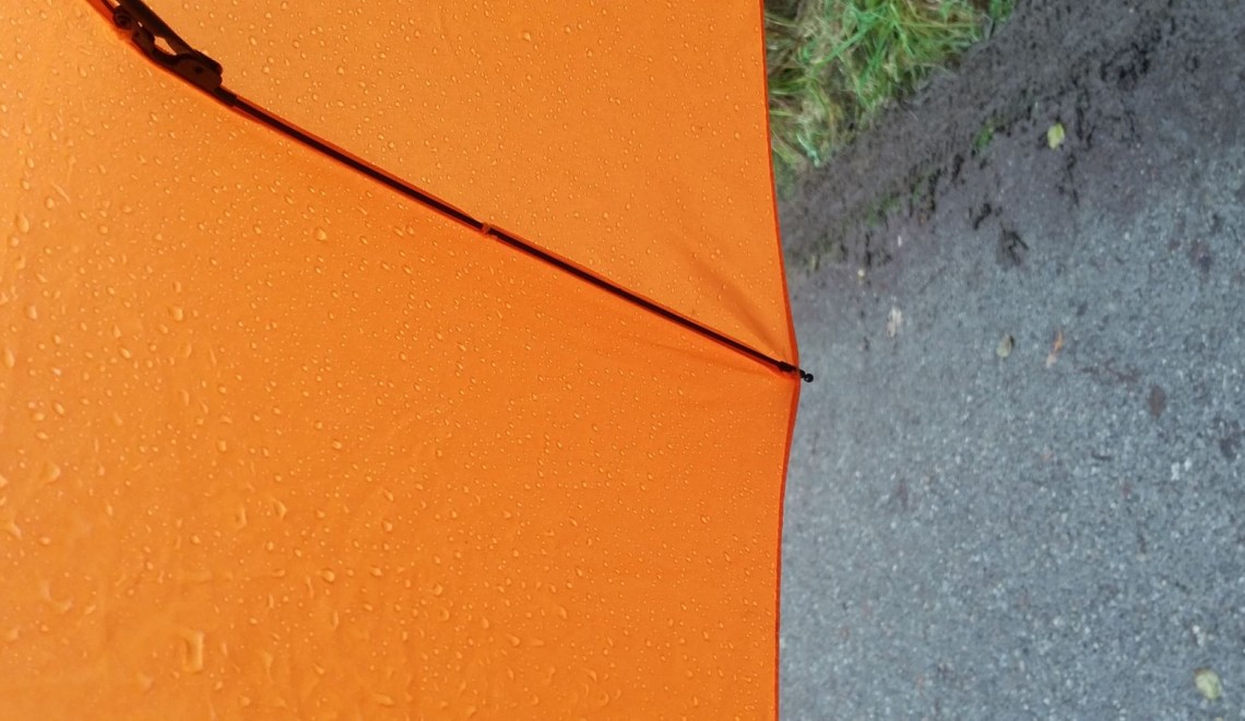 Under my umbrela-ela-ela