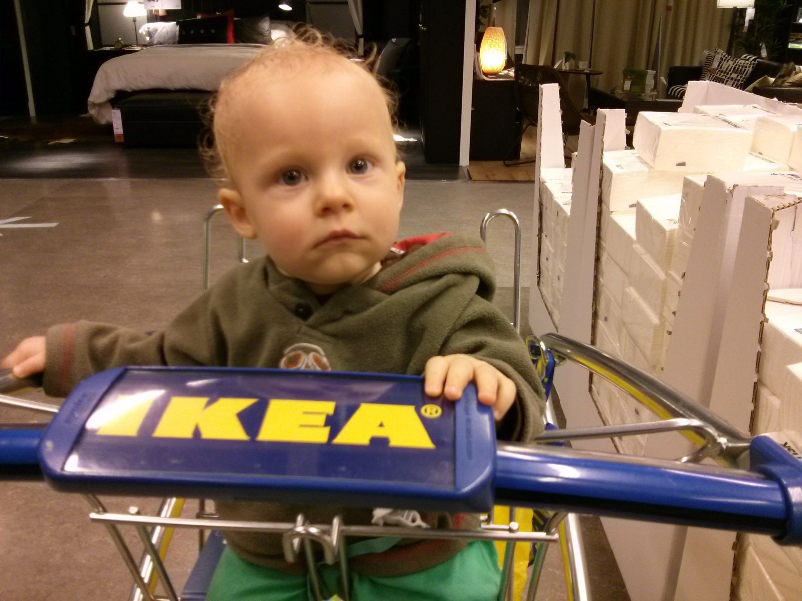Albert in IKEA.