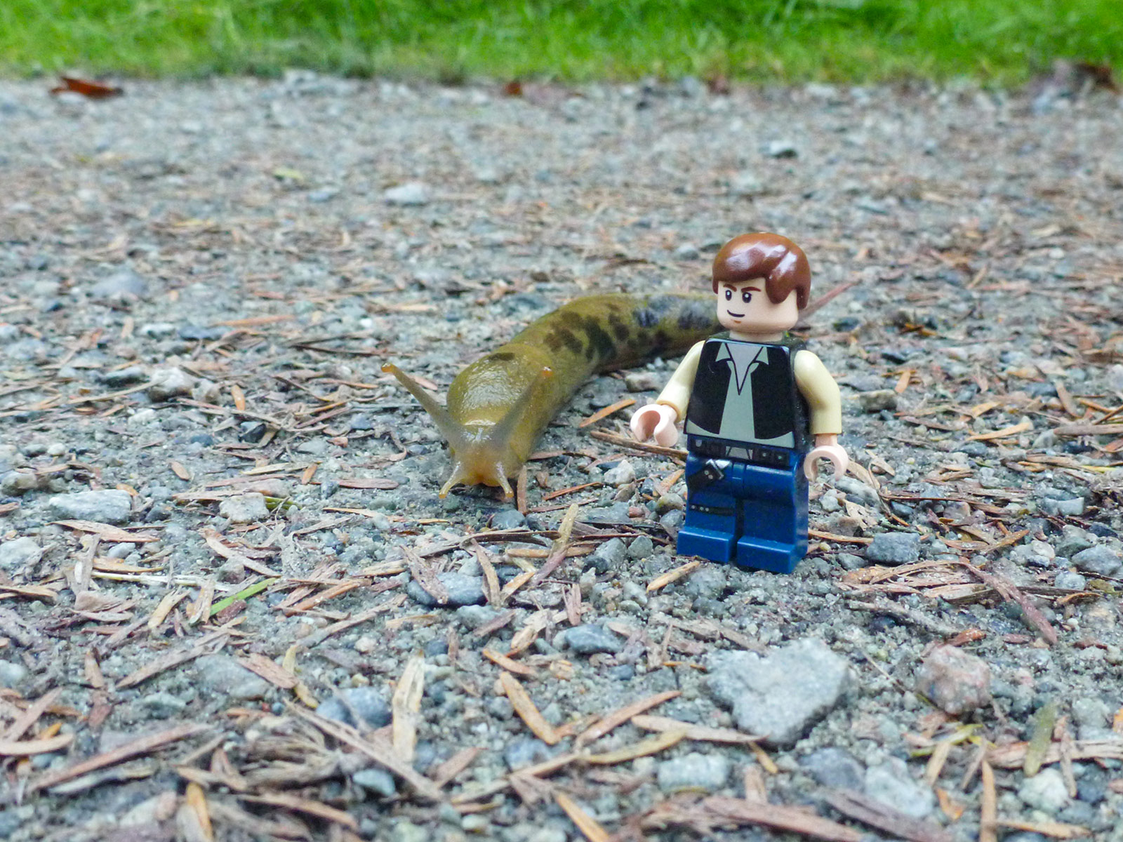 Jabba and Han.