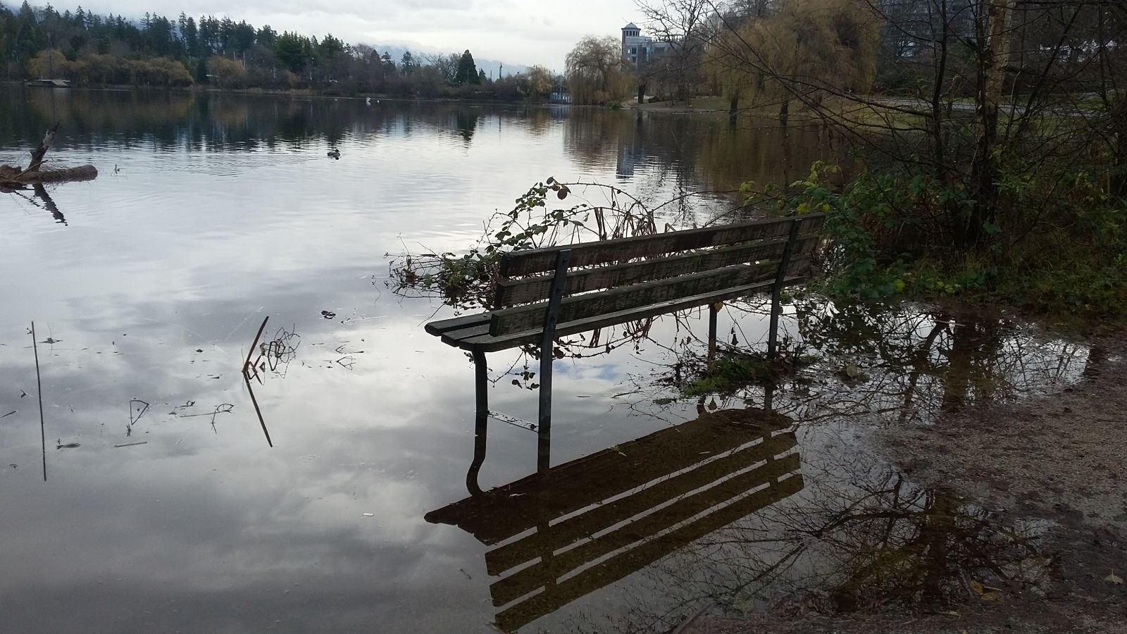 I want to sit there