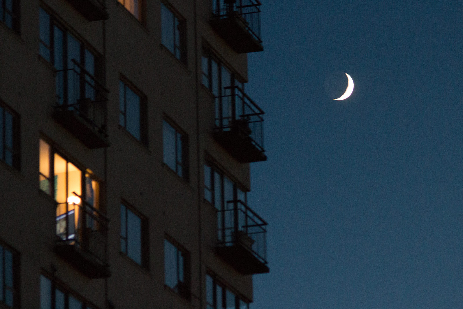 The moon