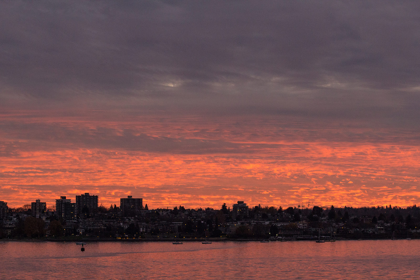 Another sunset