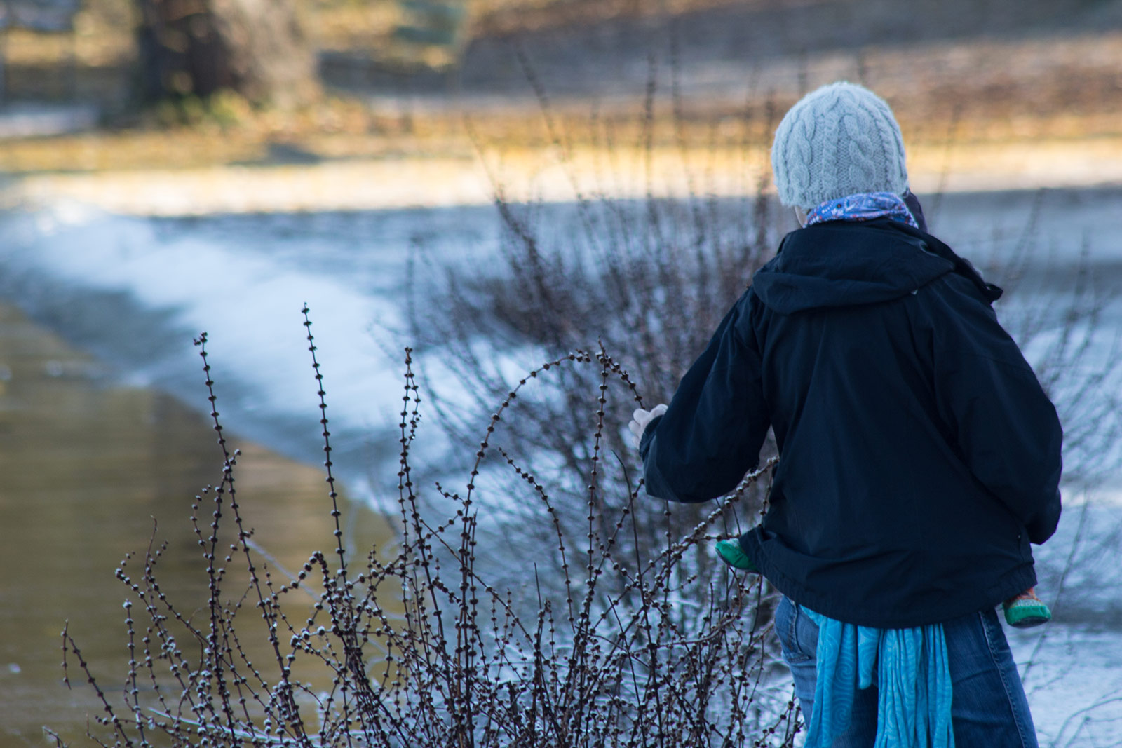Exploring the ice