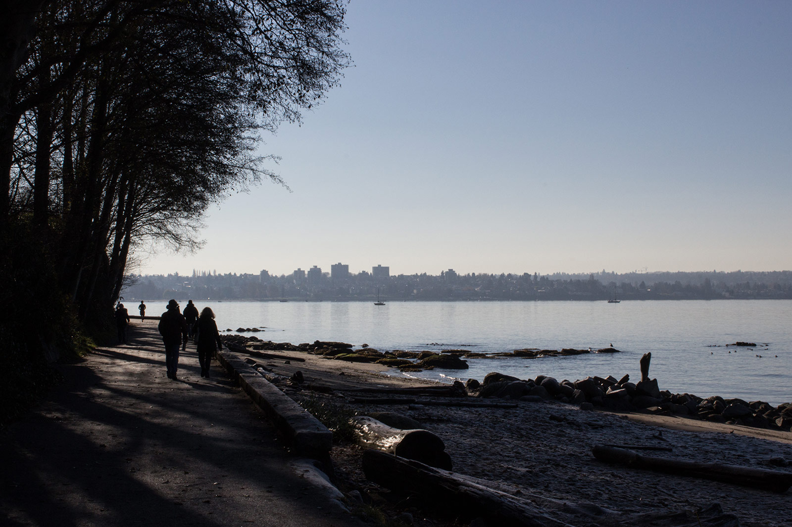 The seawall