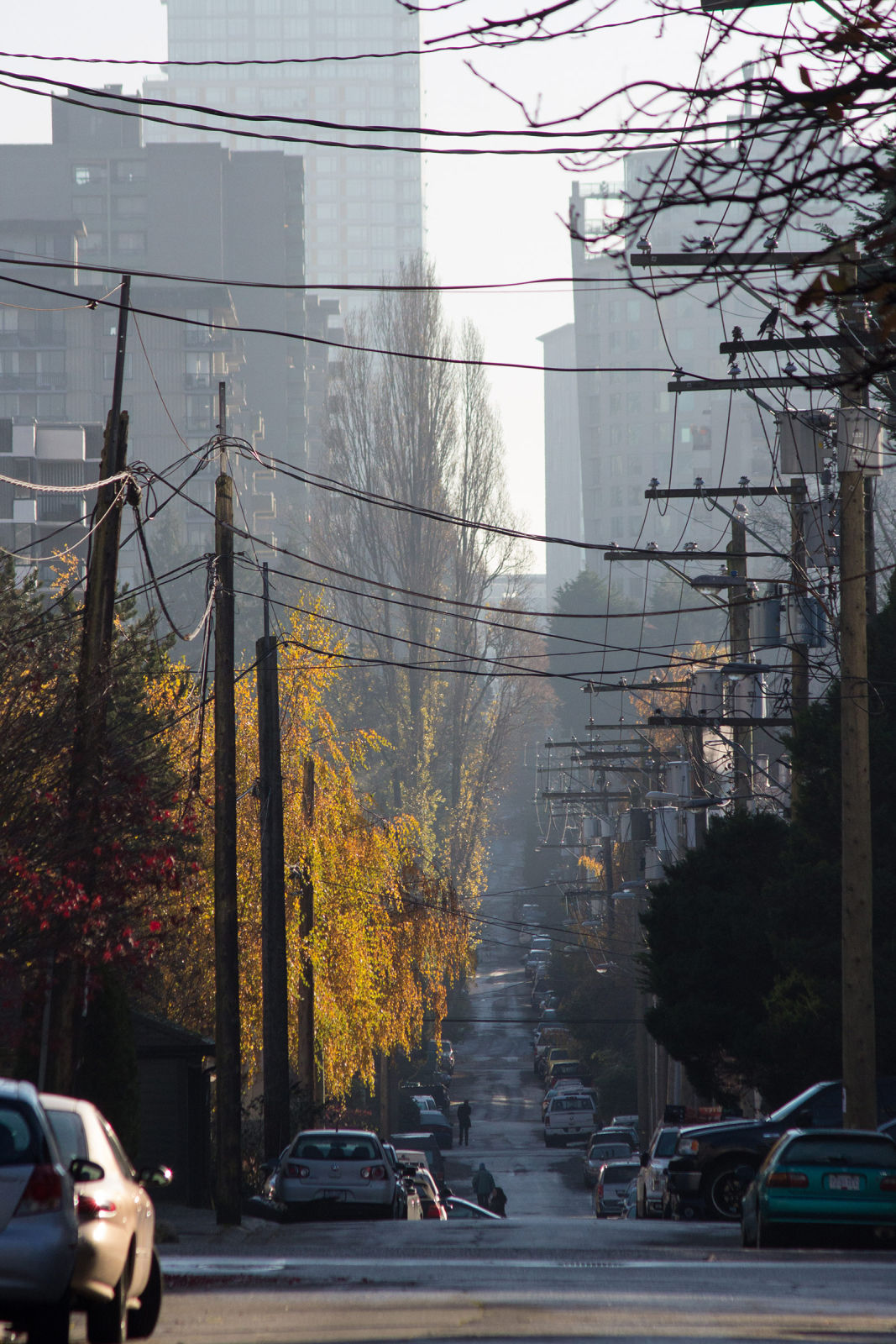 Street haze