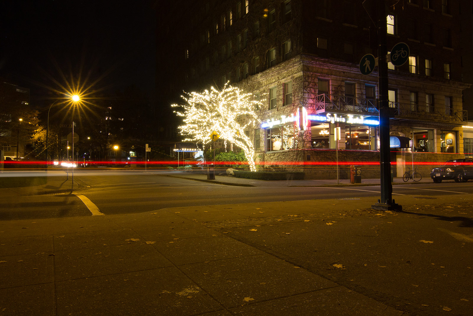 The Sylvia Hotel tree