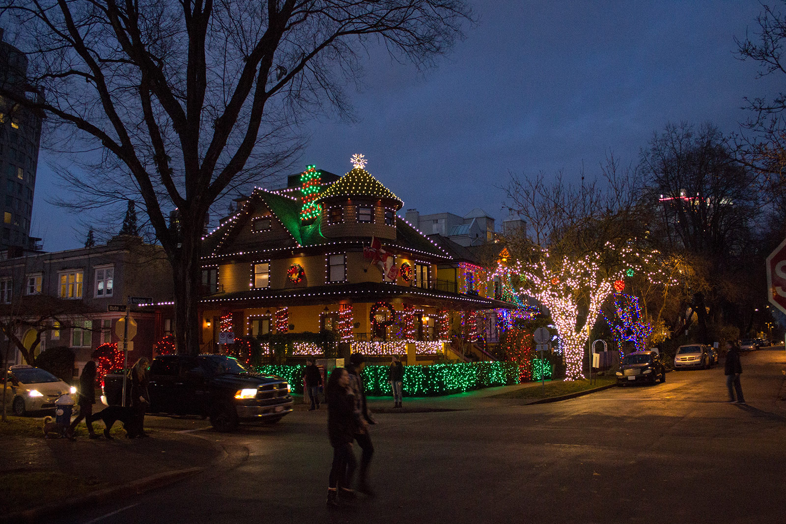 The Halloween houses