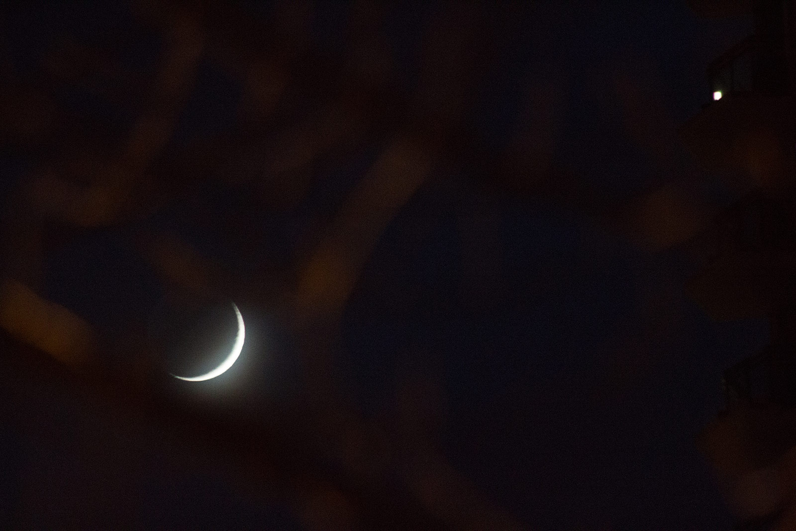 A moon