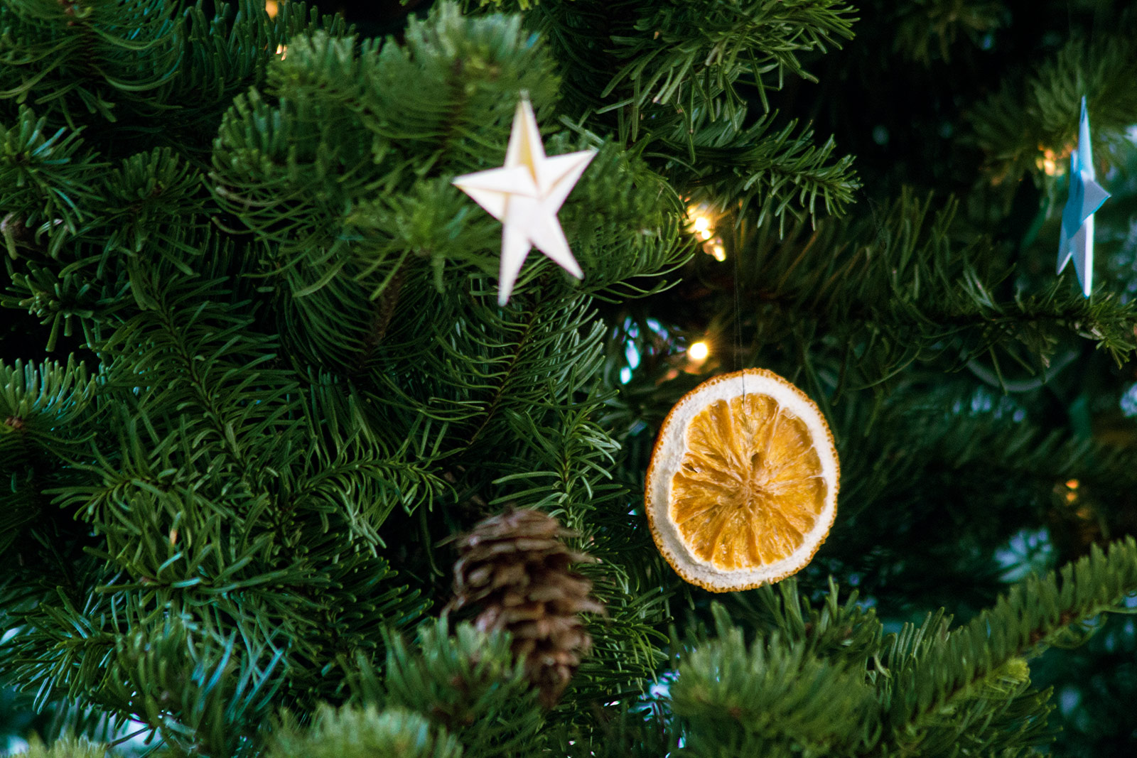 Our Christmas Tree