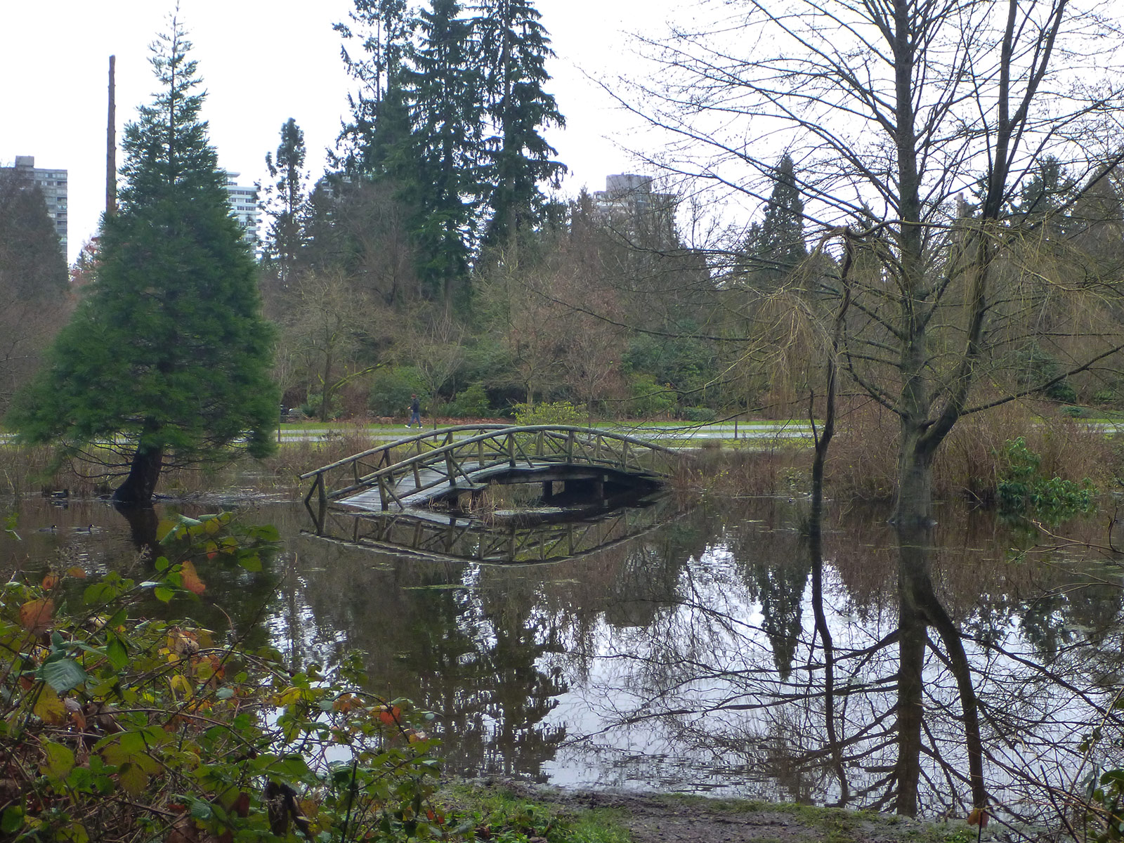 A bridge in the water