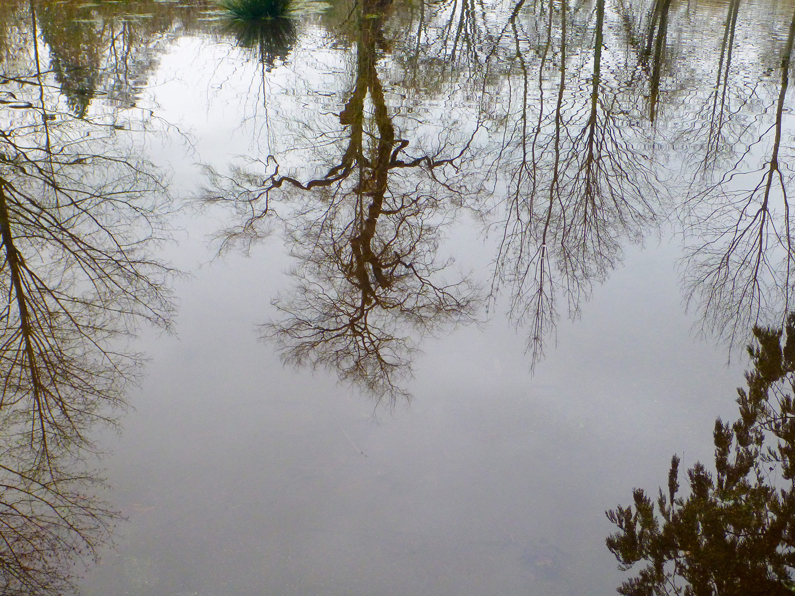 Water everywhere