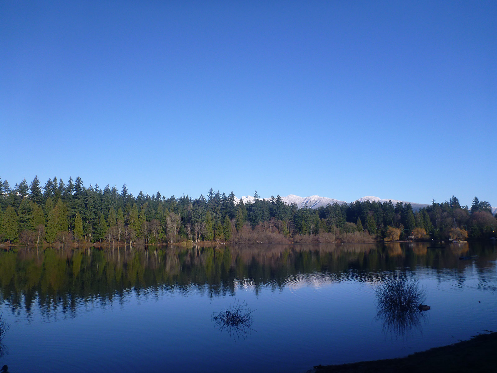 Lost Lagoon