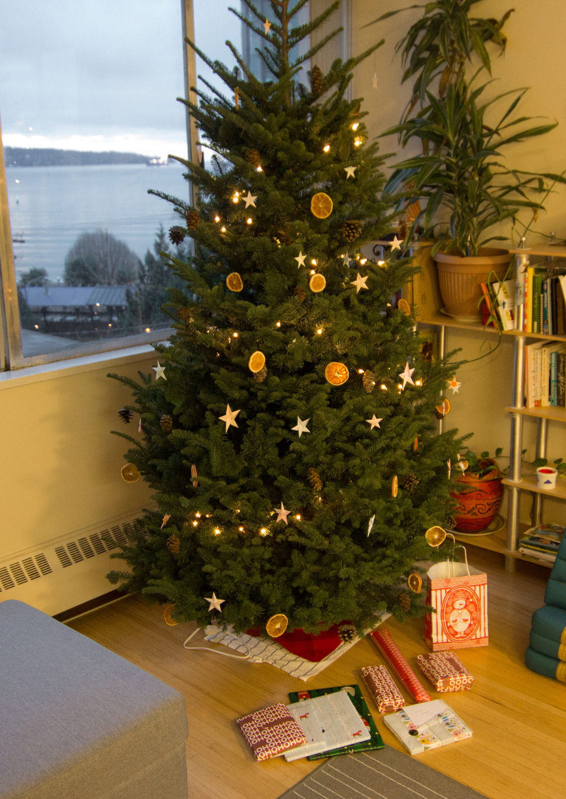 Our Christmas Tree with presents