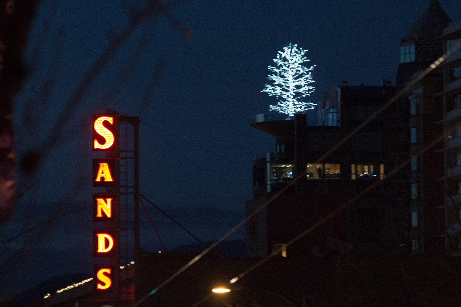Lit Christmas Tree
