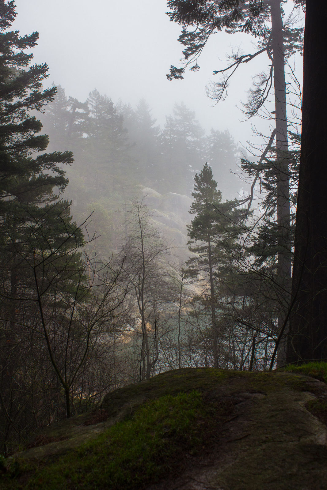 Hidden Waterline in Lighthouse Park