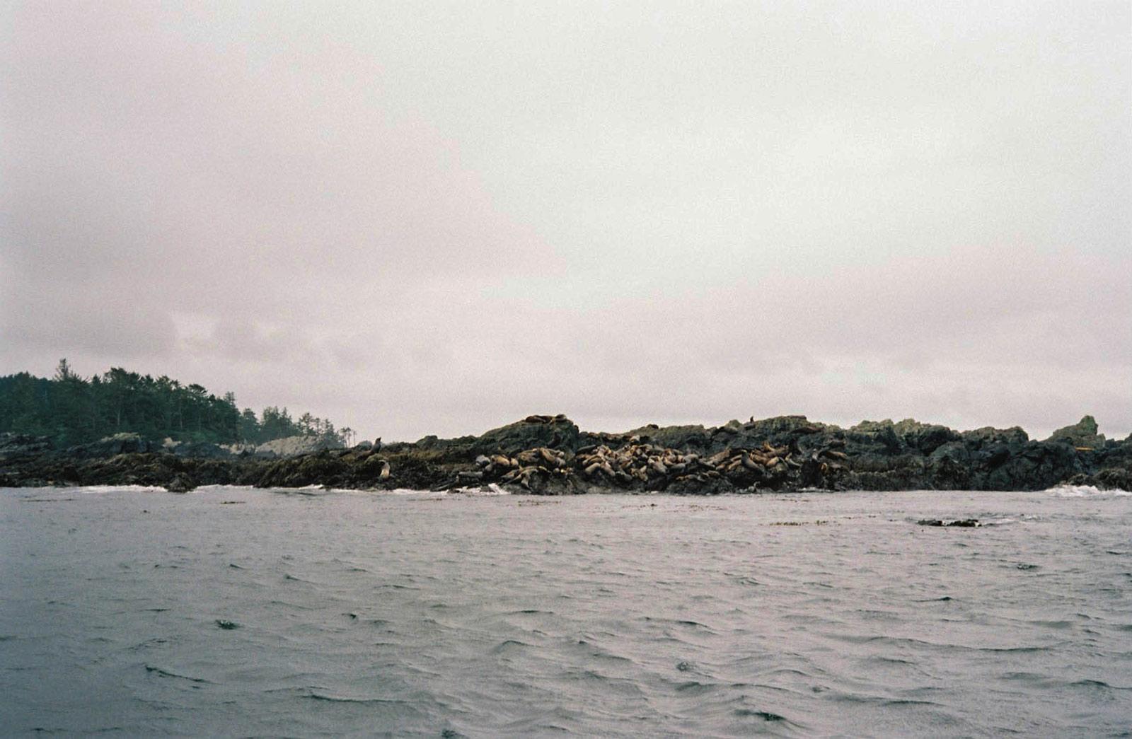 rollei-superia_005