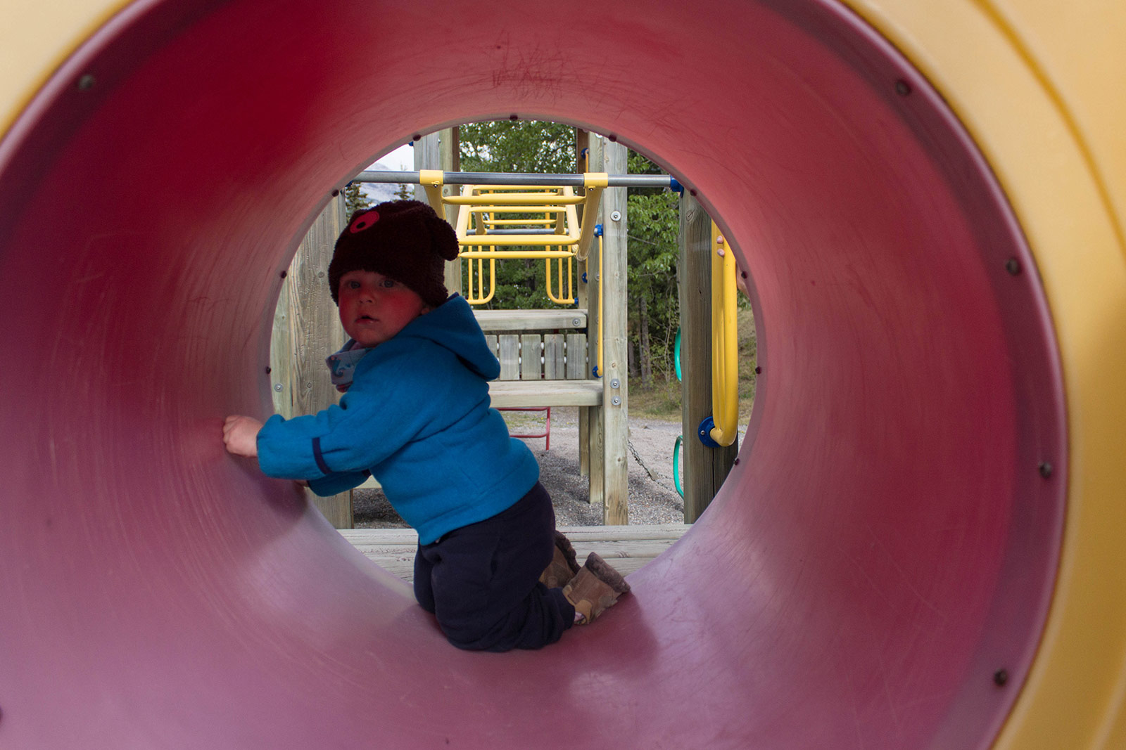 Albert on the playground