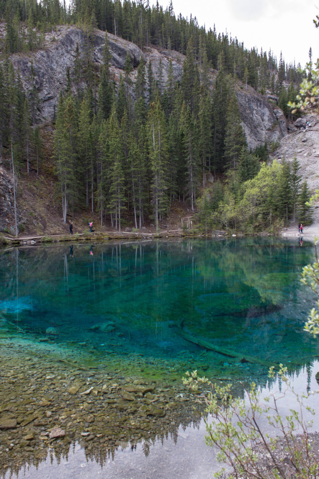 Colorful Grassi Lakes