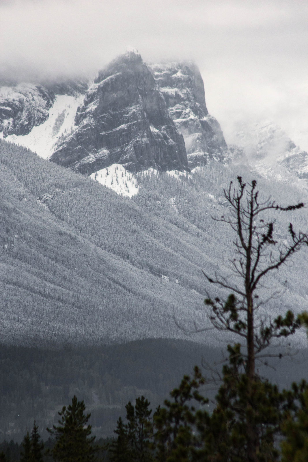 Bad Weather Rockies