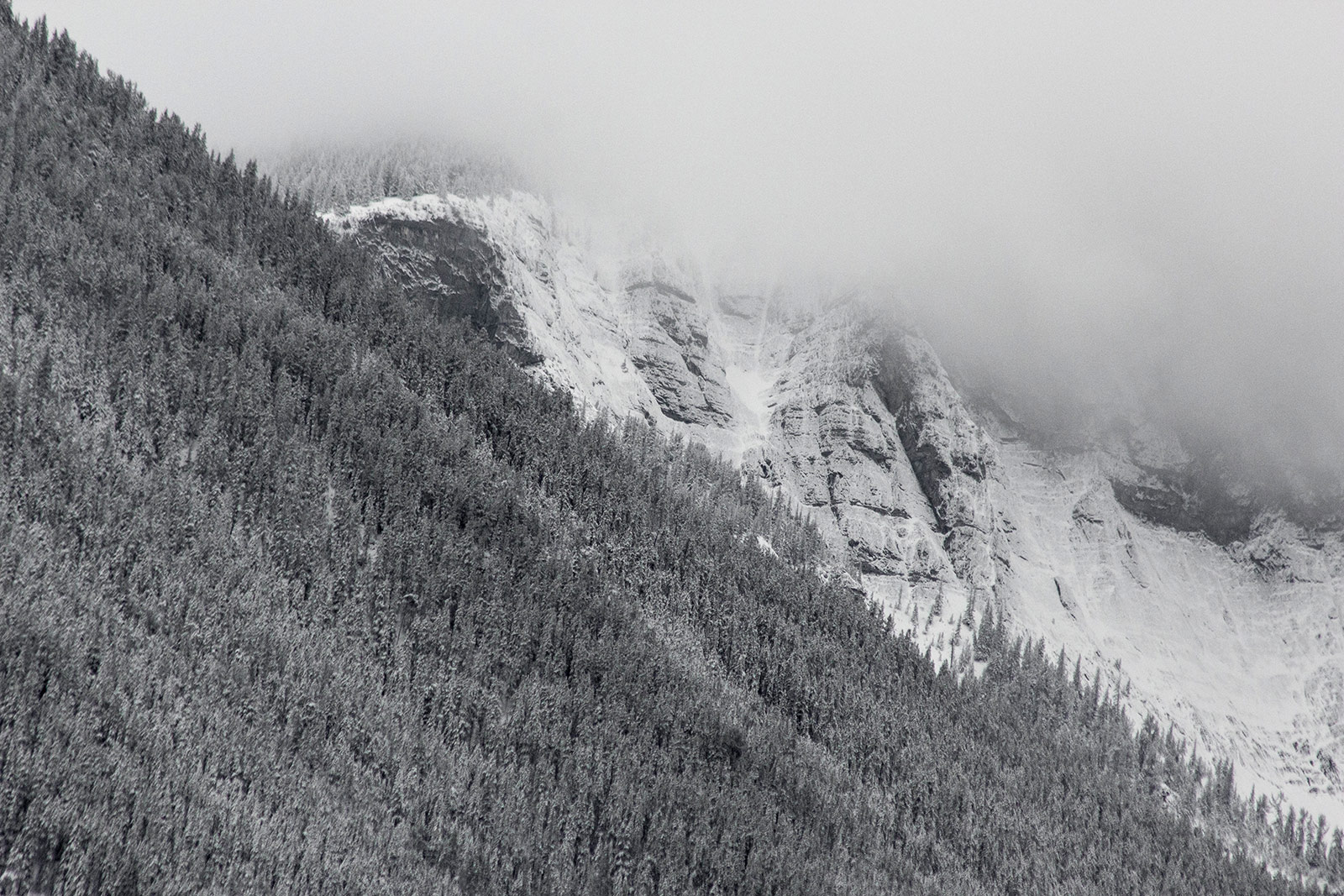 Bad Weather Rockies