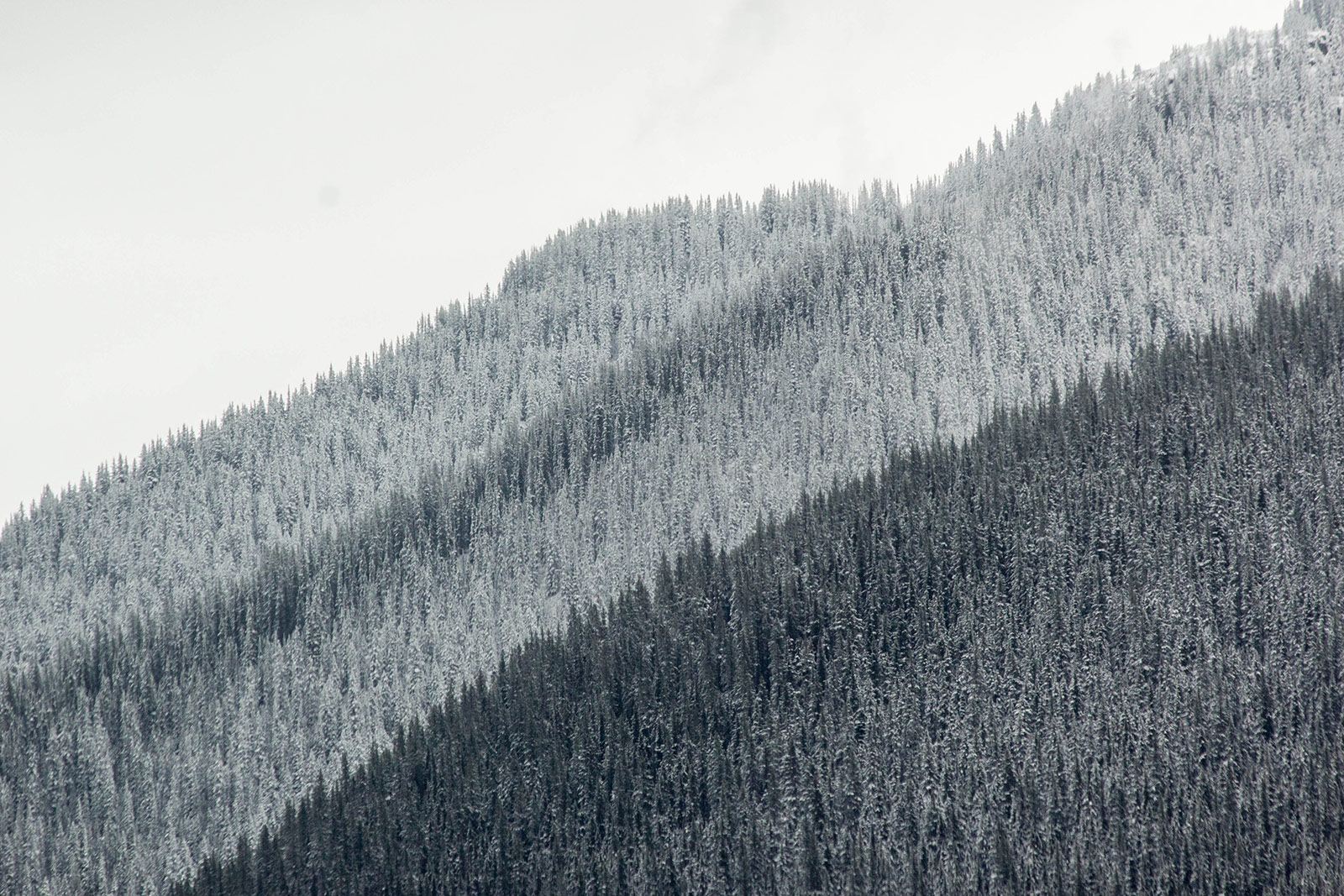 Bad Weather Rockies