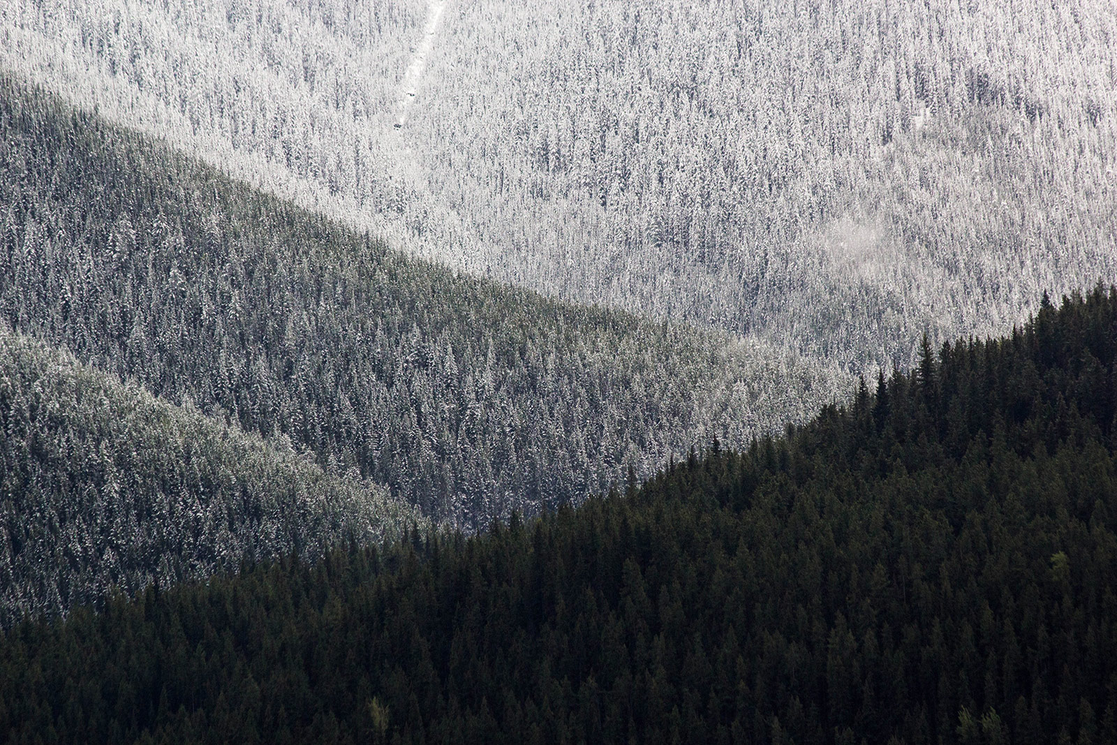 Bad Weather Rockies
