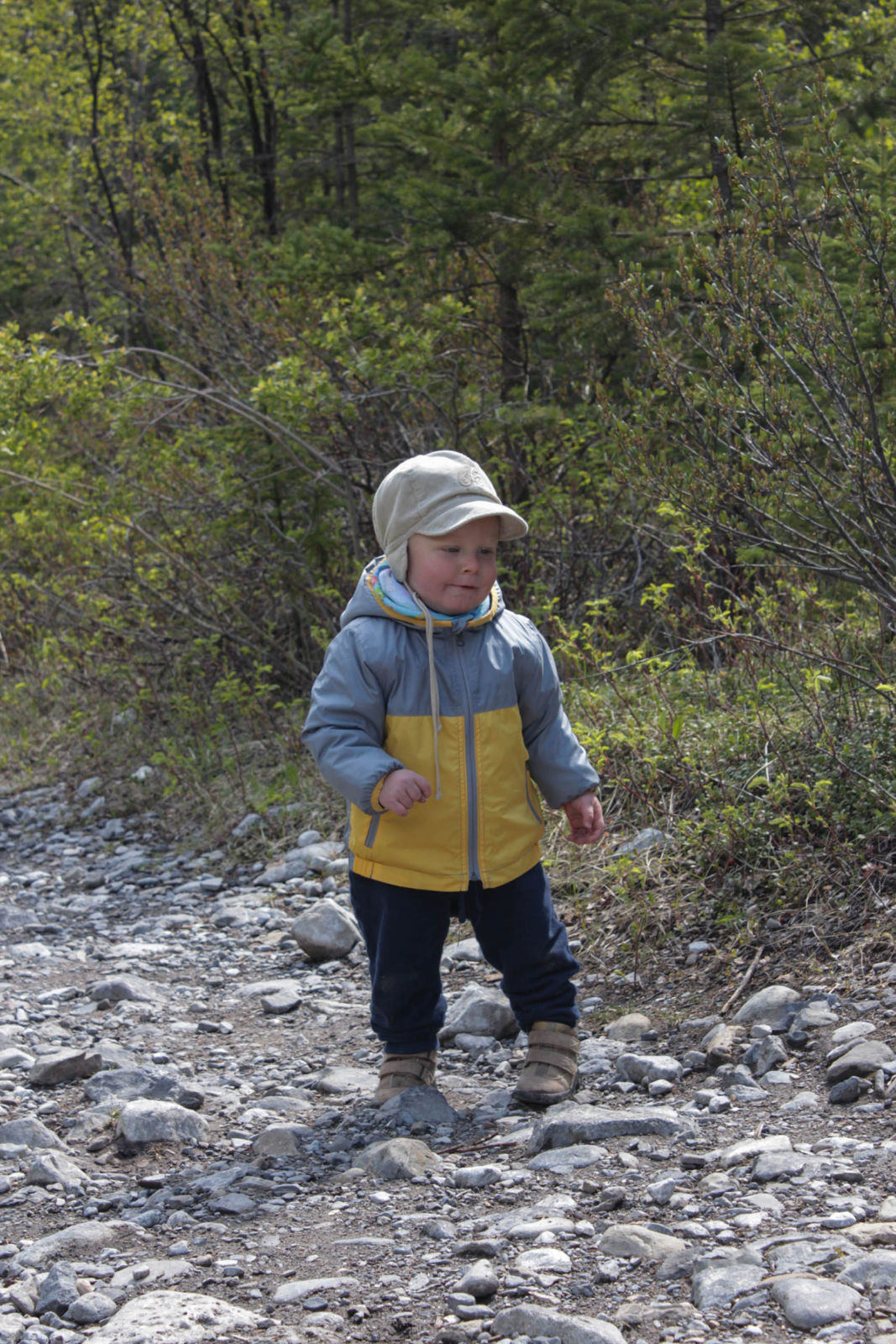 Albert especially enjoyed the rocks and puddles