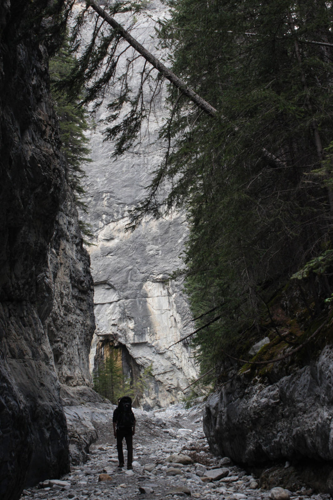 Albert and Julian in the canyon