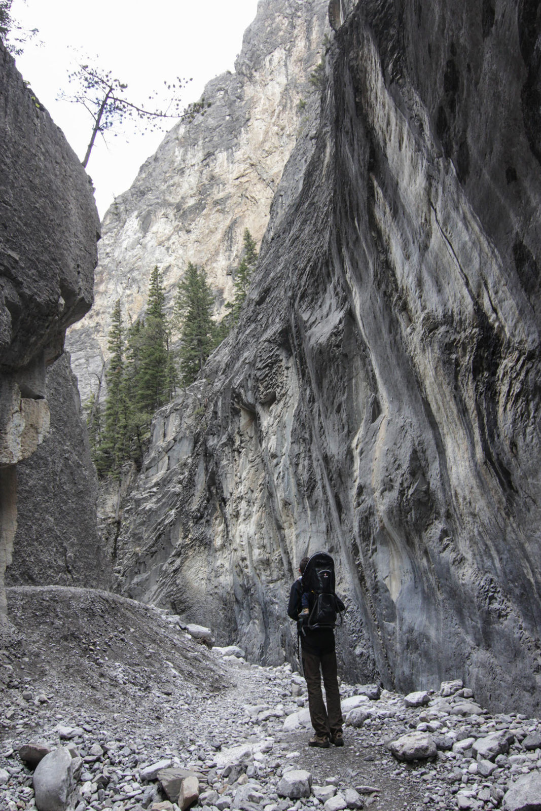 Albert and Julian in the canyon