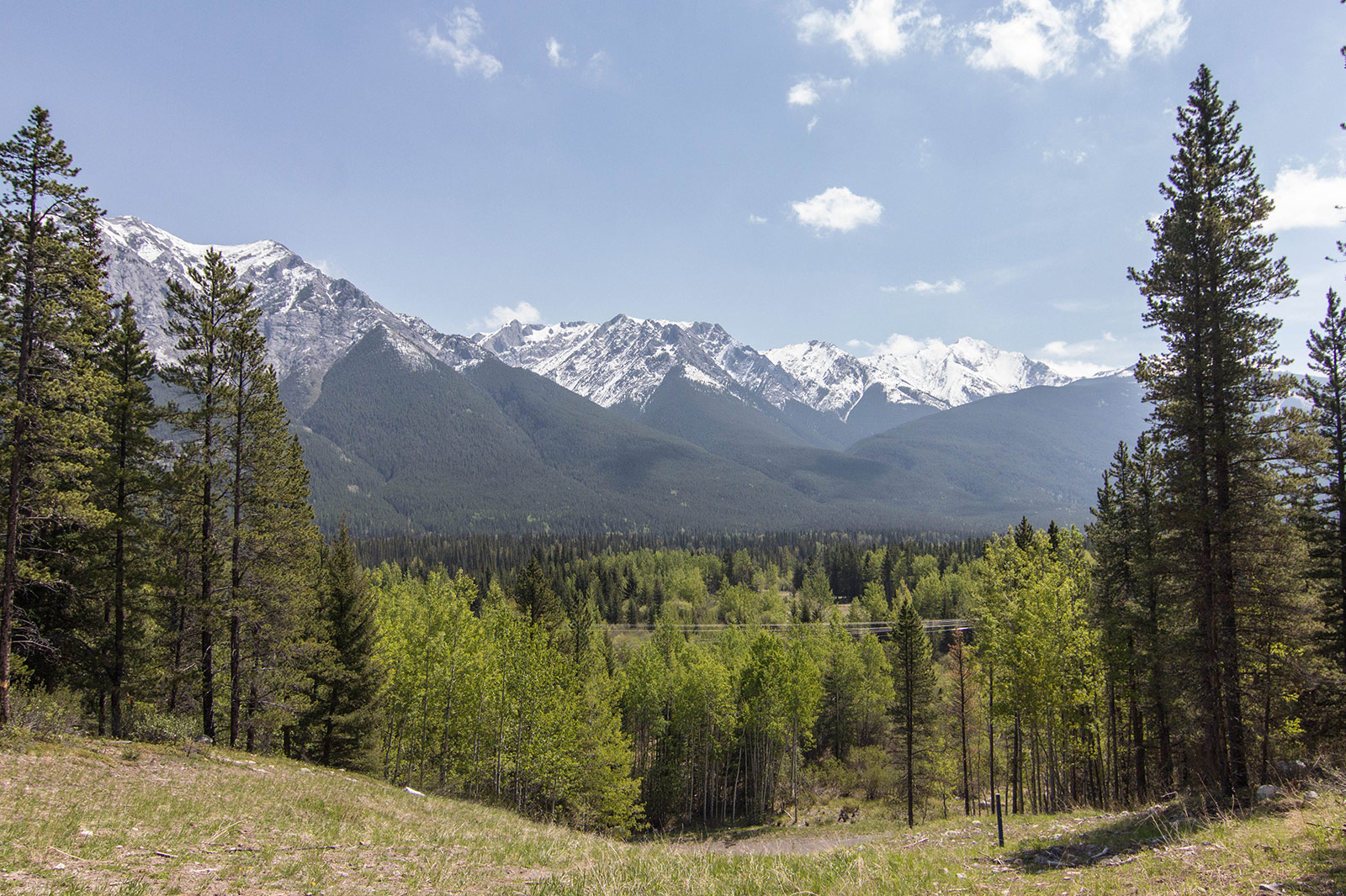 Views along the way