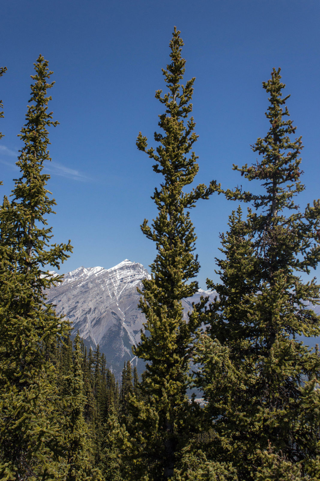 Peak views